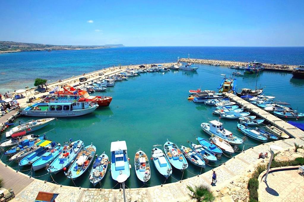 Margarita Napa Apartments Ayia Napa Exteriör bild