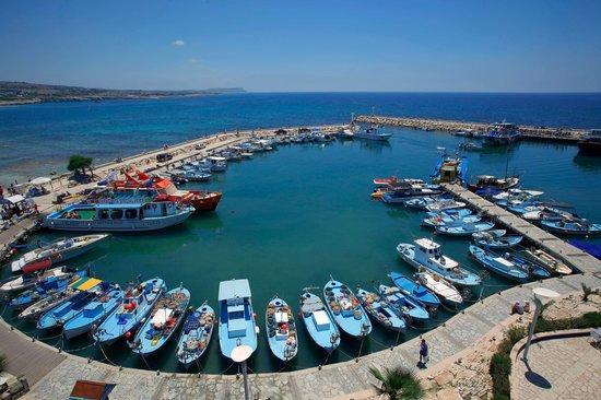 Margarita Napa Apartments Ayia Napa Exteriör bild